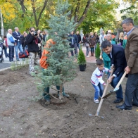 Вечно зелен сребрист смърч засадиха Георги Титюков и Петър Зехтински в съместна инициатива по залесяване на градинката на ул. "Капитан Райчо"