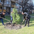 С 13 борчета по-богат е вече район „Северен“.